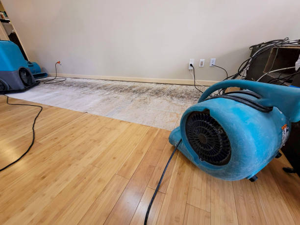 Professional Flood Damage Cleanup technician working in Greenwood, PA